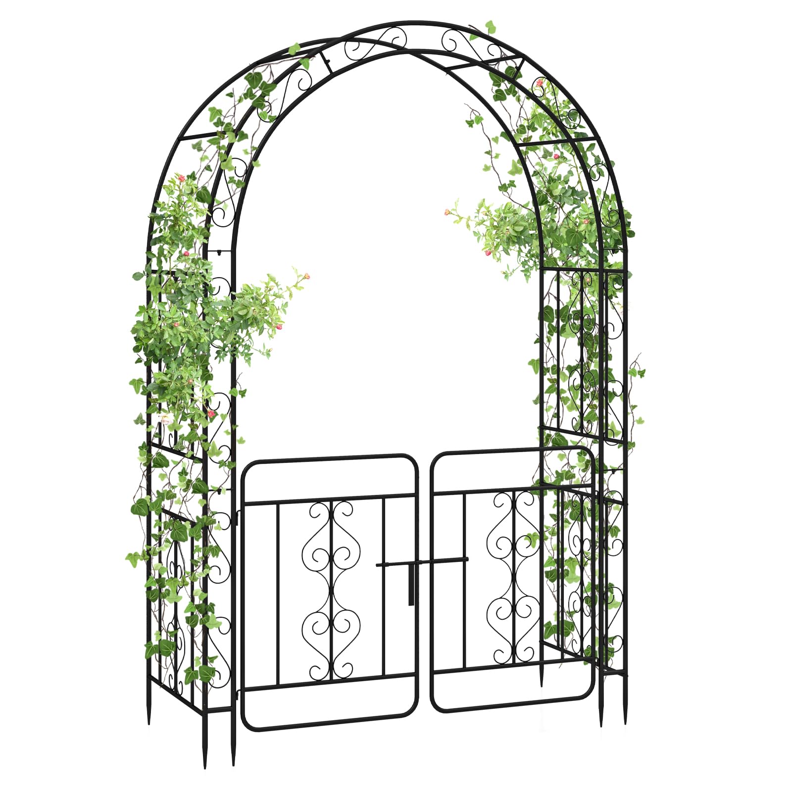 GIRUVI 「Grow on the Wall」Gracilius GIRUVI 「Grow on the Wall」Gracilius Vines of Green Ivy